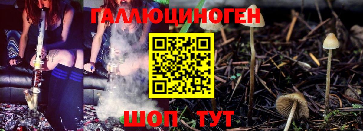 Галлюциногенные грибы мухоморы Хабаровск